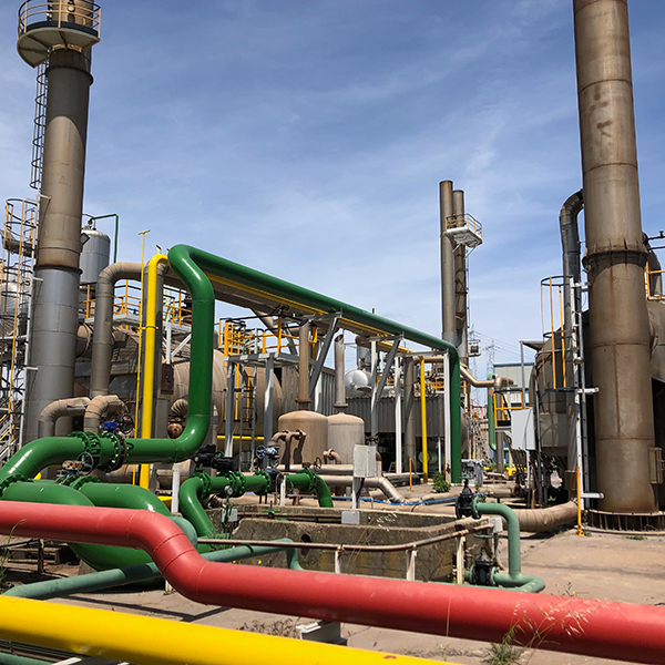 efitekna experiencia 2