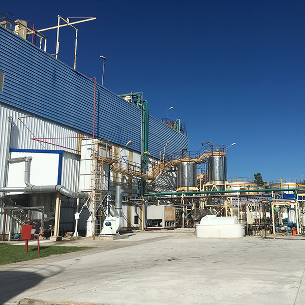 efitekna experiencia 10