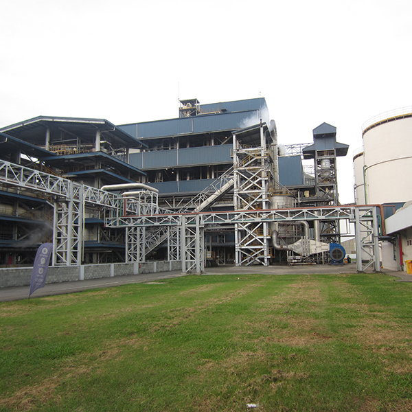 efitekna experiencia 7